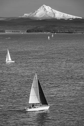 DSCF9498-4.jpg